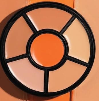 INSIGHT Cosmetics Pro Concealer Palette on Amazon.ae - Price Tracker