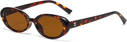 Retro Oval Sunglasses for Women Men Fashion Small Oval Sunglasses 90s Vintage Shades on Amazon.ae - Price Tracker