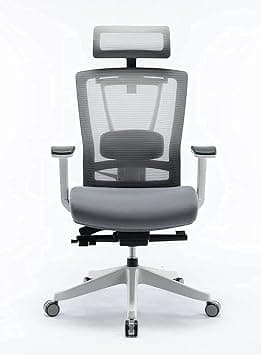 Navodesk HALO Chair Premium Ergonomic Gaming & Office Chair with Multi Adjustable Features and Lumbar Support (Light Grey) على Amazon.ae - متتبع الأسعار