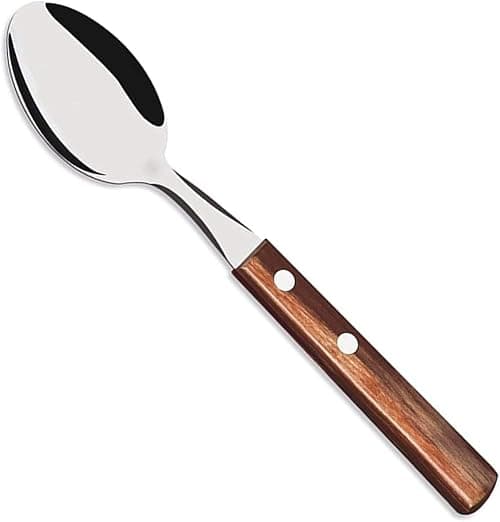 Tramontina Stainless Steel Dessert Spoon with Treated Brown Polywood Handle on Amazon.ae - Price Tracker