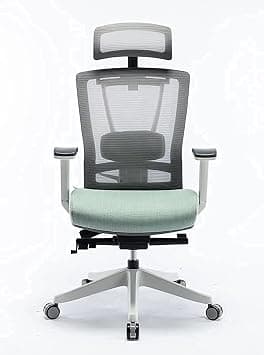 Navodesk HALO Chair Premium Ergonomic Gaming & Office Chair with Multi Adjustable Features and Lumbar Support (Mint Green) on Amazon.ae - Price Tracker