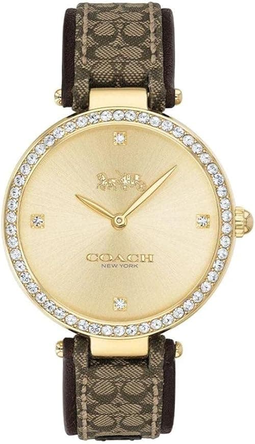 Coach PARK Women Watch, Analog on Amazon.ae - Price Tracker