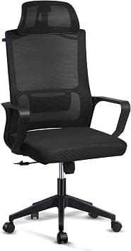 SKY-TOUCH Ergonomic Office Chair with Adjustable Headrest | Desk Chair | Lumbar Support | Large Space Padded Seat Cushion|with Tilt Back|Mesh Breathable Backrest|60 * 60 * 131cm Black on Amazon.ae - Price Tracker