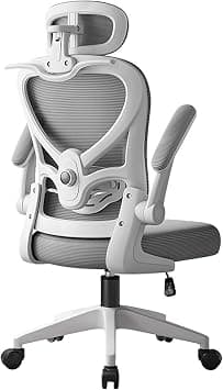 LIWEGHT Ergonomic Office Chair Breathable 2D Armrest(Gray) on Amazon.ae - Price Tracker