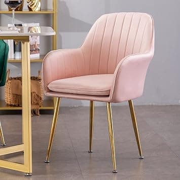 Dining Room Chairs Living Room Chair Velve Fabric Chair For Hotel Restaurant and Office Visitor… (Pink) on Amazon.ae - Price Tracker