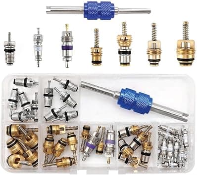 TERRIFI 40Pcs Car Air Conditioner Valve Core Kit, R12 R134a Automotive A/C Refrigeration Tire Valve Stems with Double Head Dual Dismantling Remover Tool on Amazon.ae - Price Tracker