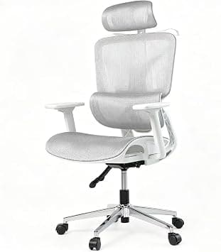 Executive Ergonomic Mesh Office Chair with Height Adjustable, 3D Adjustable Armrests,Floating Headrest & Dynamic Lumbar Support, Fully Adjustable Desk Chair for Home Office, Gaming & Long Working Hour on Amazon.ae - Price Tracker