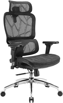 SIHOO M56B Ergonomic Office Chair, High Back Desk Chair, Lumbar Support, Swivel Computer Task Chair with Adjustable Headrest, Tilt Function, Black on Amazon.ae - Price Tracker