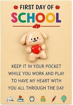 Back to School Gifts for Girls Boys, First Day of School Pocket Hug Card, Thinking of you, Love You Message for Students Kids Present Idea, Cute Toy for Children Backpack Nursery Toddlers, New Class on Amazon.ae - Price Tracker