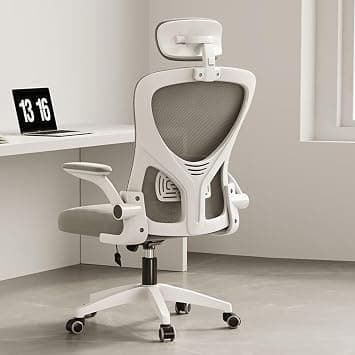 Beauenty Ergonomic Office Chair: Office Computer Desk Chair with High Back Mesh and Adjustable Lumbar Support Rolling Work Swivel Task Chairs with Wheel 3D Armrests and Headrest (White Gray) on Amazon.ae - Price Tracker