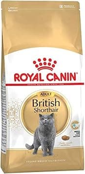 Royal Canin Dry Food British Shorthair Adult - 2 kg - متتبع أسعار Amazon.sa