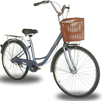 City bike 24-inch, single-speed with basket, ladies' bike, blue on Amazon.ae - Price Tracker