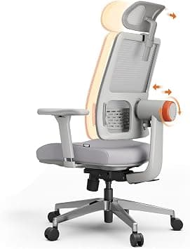 DROGO Ergonomic Office Chair for Work from Home, High Back Computer Chair with Adaptive Lumbar Support, 4D Armrest, Recline, Adjustable Height & Headrest, Mesh Chair for Office/Home (Grey) on Amazon.ae - Price Tracker