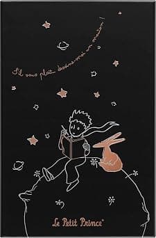 Moleskine Limited Edition Le Petit Prince Notebook, Large, Ruled, Black, Hard Cover (5 x 8.5) - متتبع أسعار Amazon.sa
