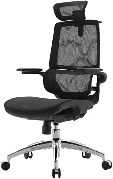 SIHOO M59AS-M302 Ergonomic Office Chair, Upgrade the large cushions,Breathable Mesh Desk Chair with Dual Back Design, Swivel Task Chair, Adjustable Height Gaming(Black) on Amazon.ae - Price Tracker
