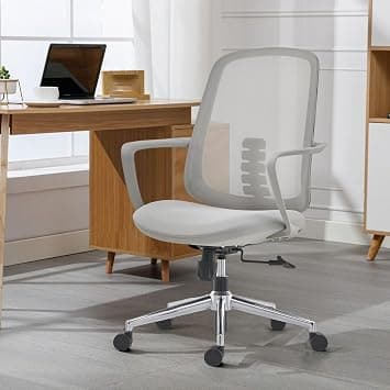 Kano Desk Chair, Modern Home Office Chair Ergonomic Computer Desk Chairs with Lumbar Support Breathable Mesh Work Swivel Office Chair على Amazon.ae - متتبع الأسعار
