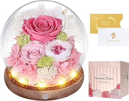 Preserved Roses in Glass Dome with LED Light - Long Lasting Real Roses, Forever Flowers for Delivery, Valentine Gift Mothers Gifts for Her, Mom, Wife Anniversary Birthday Gifts for Women, Pink on Amazon.ae - Price Tracker