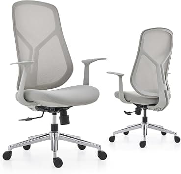 Office Chair Ergonomic Home Office Chair Computer Desk Chairs with Lumbar Support Breathable Mesh Executive Swivel Chair (Elegant Grey) على Amazon.ae - متتبع الأسعار