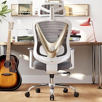 HOLLUDLE Ergonomic Office Chair with 3D Lumbar Support & 3D Adjustable Armrests - V-shaped Back Design, Comfortable Desk Chair for Office & Home, White Gold on Amazon.ae - Price Tracker
