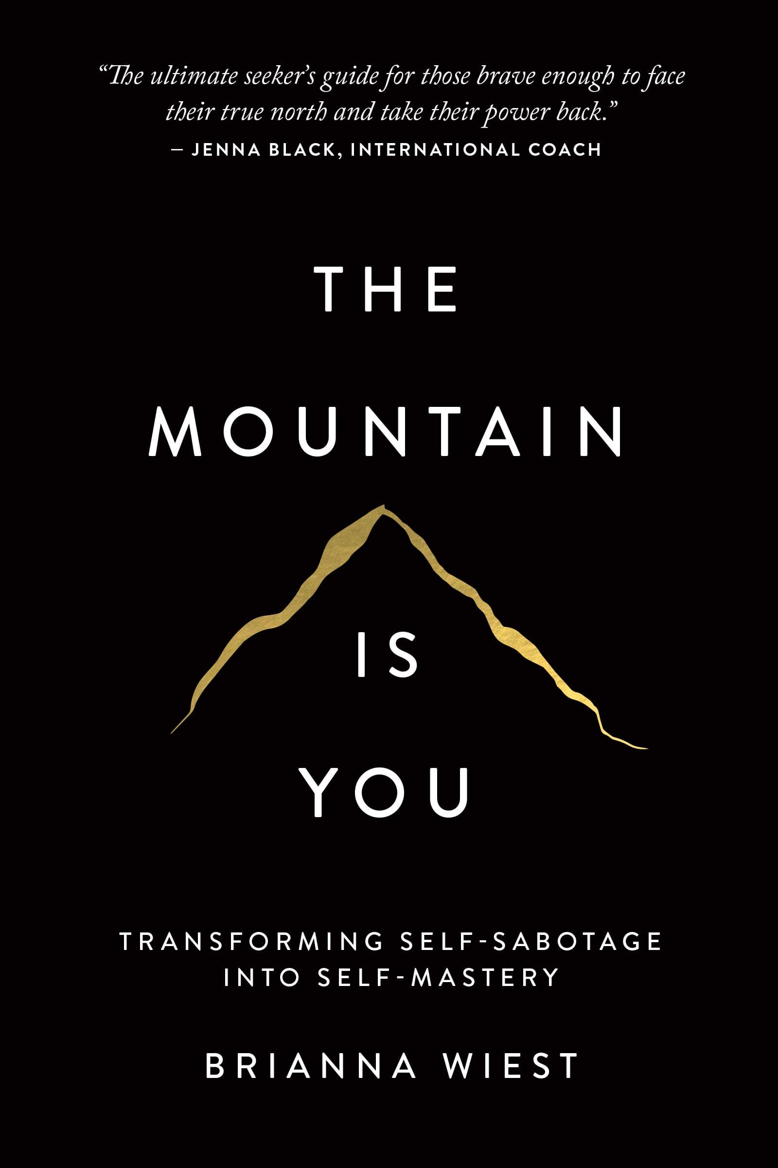 The Mountain Is You: Transforming Self-Sabotage Into Self-Mastery on Amazon.ae - Price Tracker