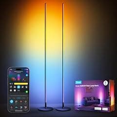 Govee RGBICW LED Floor Lamp, Living Room, 2 Pack, WiFi Floor Lamp, 1000 lm - Amazon.sa Price Tracker