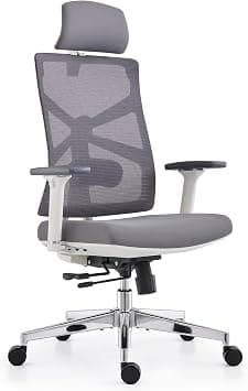 HOLLUDLE Ergonomic Office Chair with Adaptive Backrest, High Back Computer Desk Chair with 4D Armrests, Adjustable Seat Depth, Lumbar Support and 2D Headrest, Swivel Task Chair, White على Amazon.ae - متتبع الأسعار
