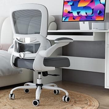 TRALT Office Chair - Ergonomic Desk Chair with Adjustable Lumbar Support, Mesh Computer Chair, Executive Chair for Home Office Comfortable Lumbar Support(Grey) على Amazon.ae - متتبع الأسعار
