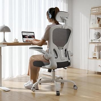 Office Chair, Ergonomic Office Chair, High Back Computer Chair for Long Hours Comfortable, Rolling Swivel Executive Task Chair for Home Office with Flip-up Armrests, Grey Black على Amazon.ae - متتبع الأسعار