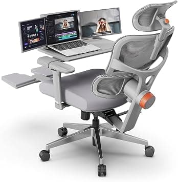 DROGO Ergonomic Office Chair for Work from Home | High Back Mesh Computer Chair with Adaptive Lumbar Support,4D Armrest,Footrest,Tray,Adjustable Headrest | Executive Desk Chair for Office (Grey) on Amazon.ae - Price Tracker