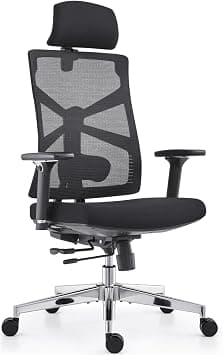 HOLLUDLE Ergonomic Office Chair with Adaptive Backrest, High Back Computer Desk Chair with 4D Armrests, Adjustable Seat Depth, Lumbar Support and 2D Headrest, Swivel Task Chair, Black on Amazon.ae - Price Tracker