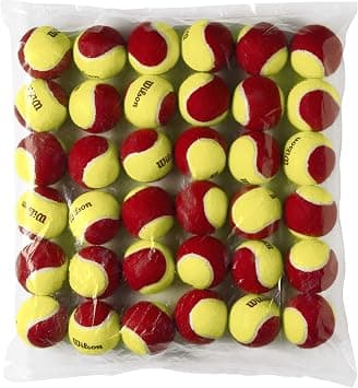 WILSON Starter Tennis Balls on Amazon.ae - Price Tracker