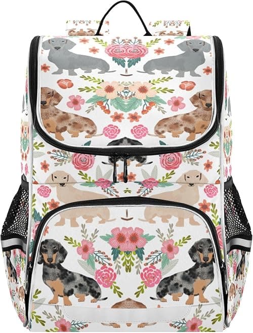 Backpack with Reflective Strip for Kids Boys Girls Elementary School Bag Removable Chest Strap على Amazon.ae - متتبع الأسعار