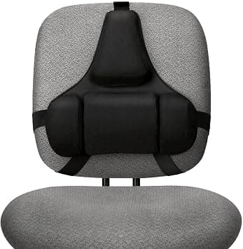 Fellowes Professional Series Back Support - Amazon.ae Price Tracker