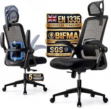 Realm of Thrones CAPTAIN Ergonomic Office Chair for Home, Heavy Duty Steel Base, Versatile Flip-up Armrests, Adjustable Lumbar Support, Mesh Back Comfort Cushion Seat for Computer Desk/Gaming (Black) على Amazon.ae - متتبع الأسعار
