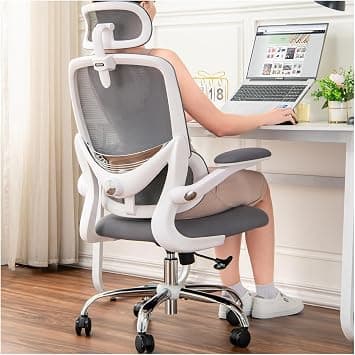 Ergonomic Home Office Chair, High Back Mesh Desk Chair with Adjustable Lumbar Support, Flip-up Armrest, Removable Headrest, Swivel Computer Gaming Chair, Space Saving, 150KG (White+Grey) on Amazon.ae - Price Tracker